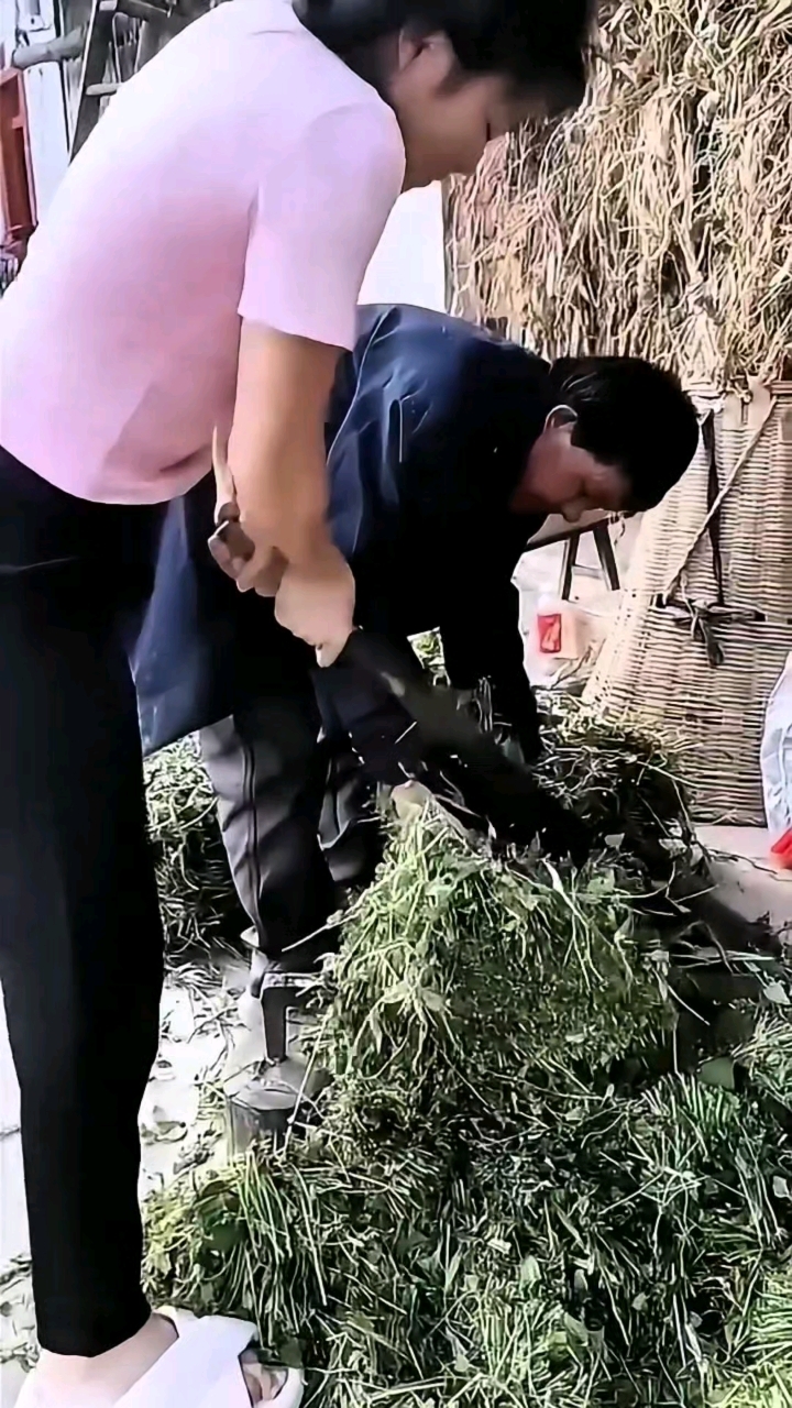 大铡刀切草