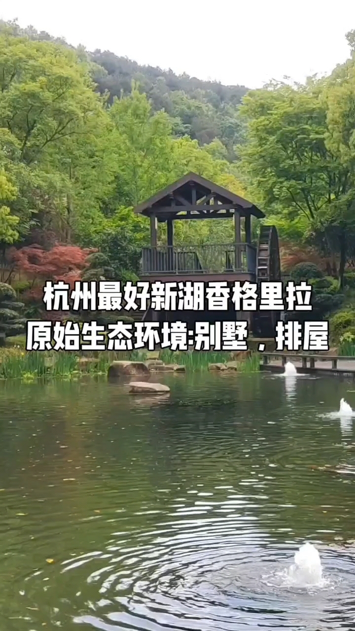 杭州新湖香格里拉主营:排屋,别墅