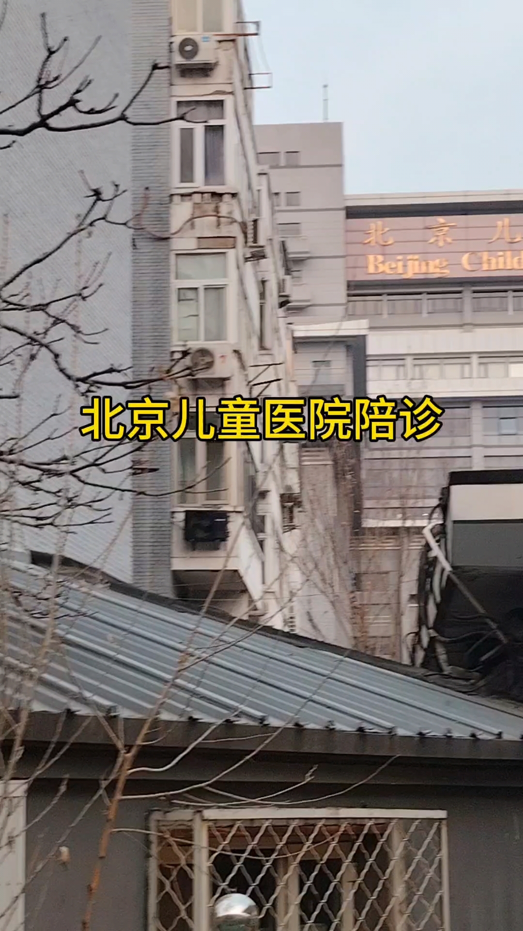 包含北京儿童医院全天陪诊含挂号康复训练专业指导，恢复效果更佳的词条