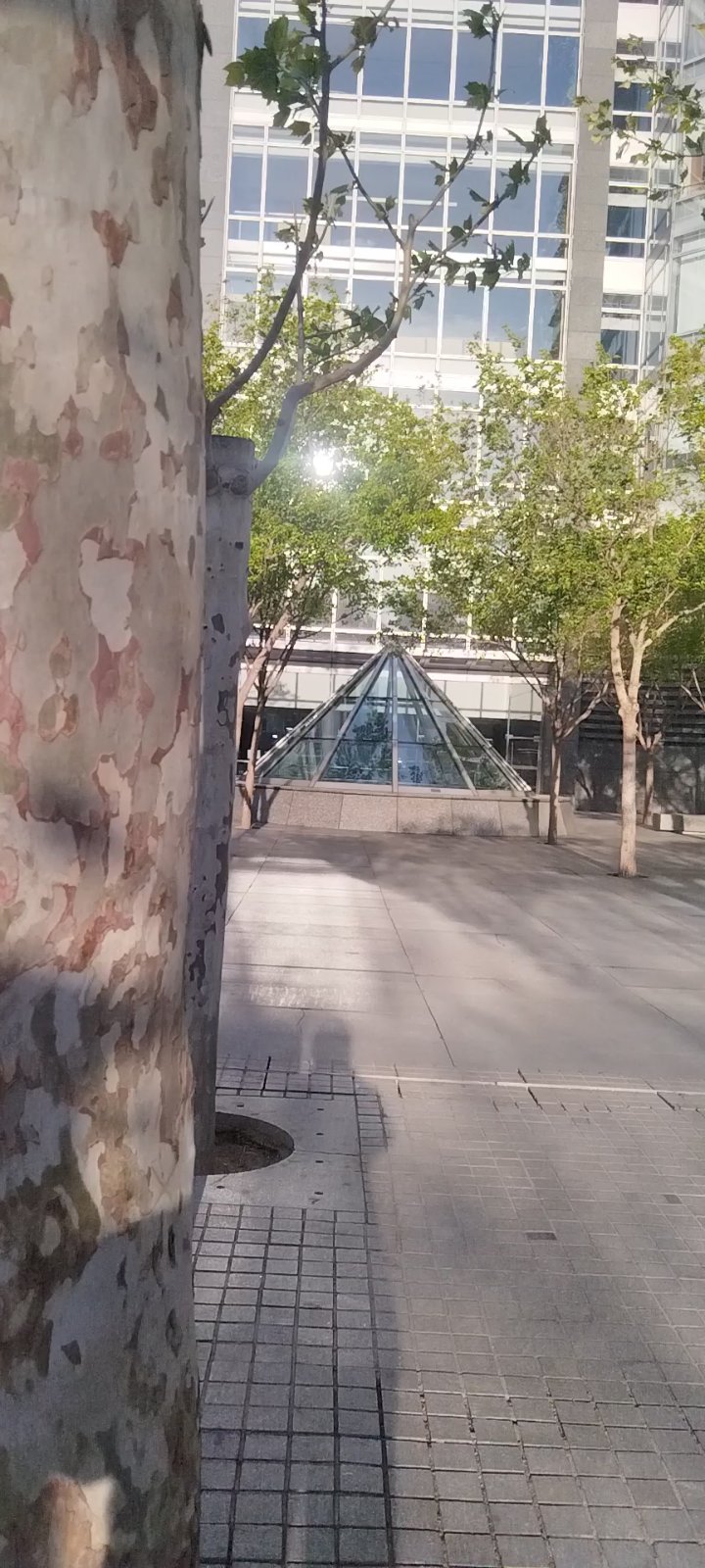 融科资讯b座前散步