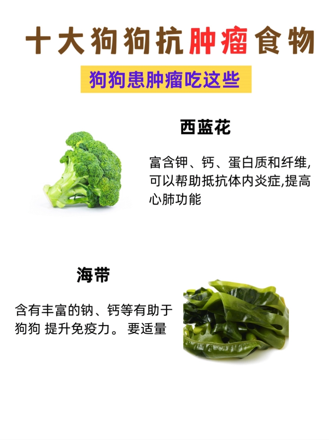 十大狗狗抗肿瘤食物!