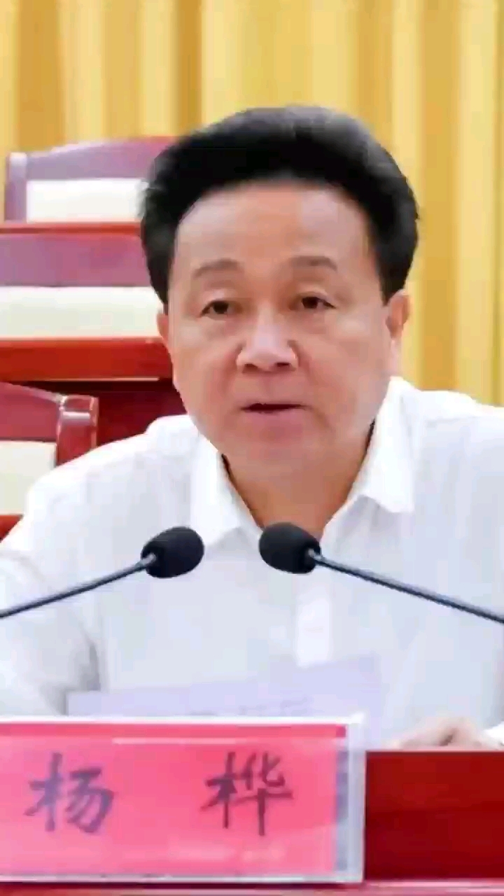重庆杨桦简历