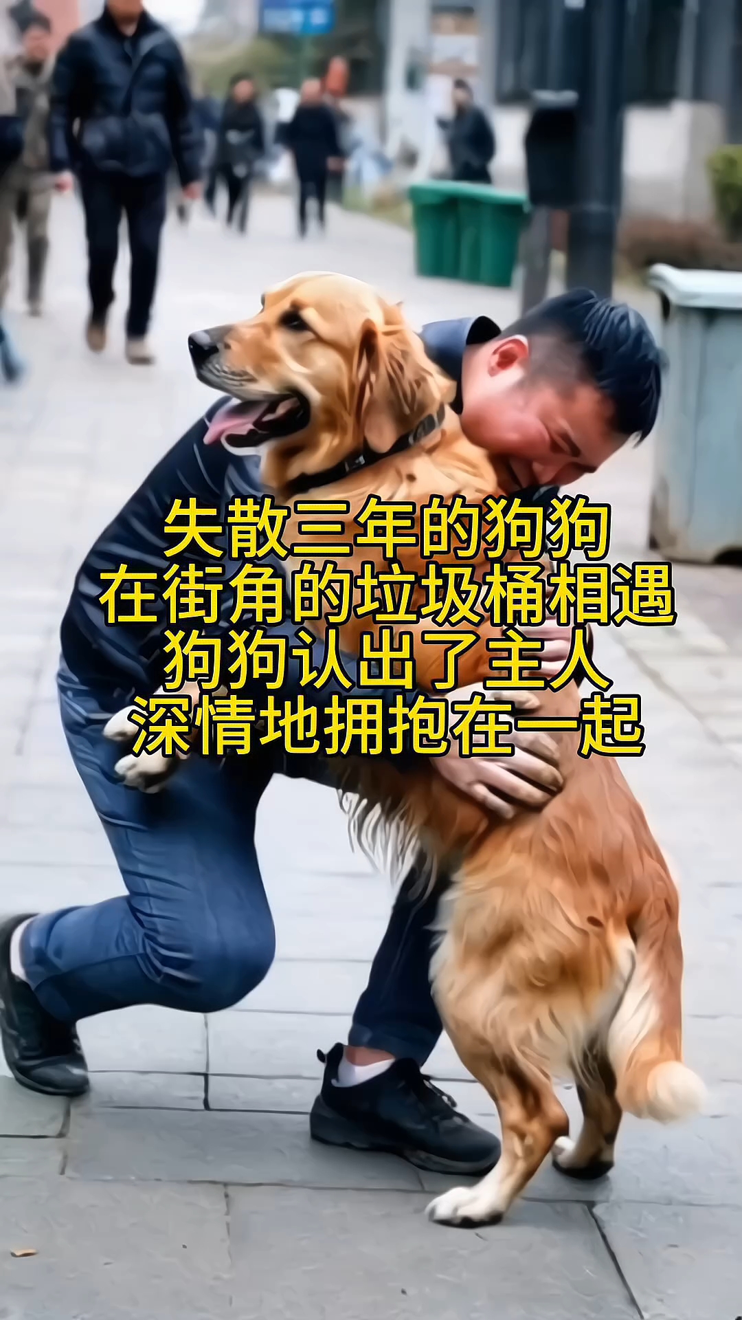 狗狗不认旧主人