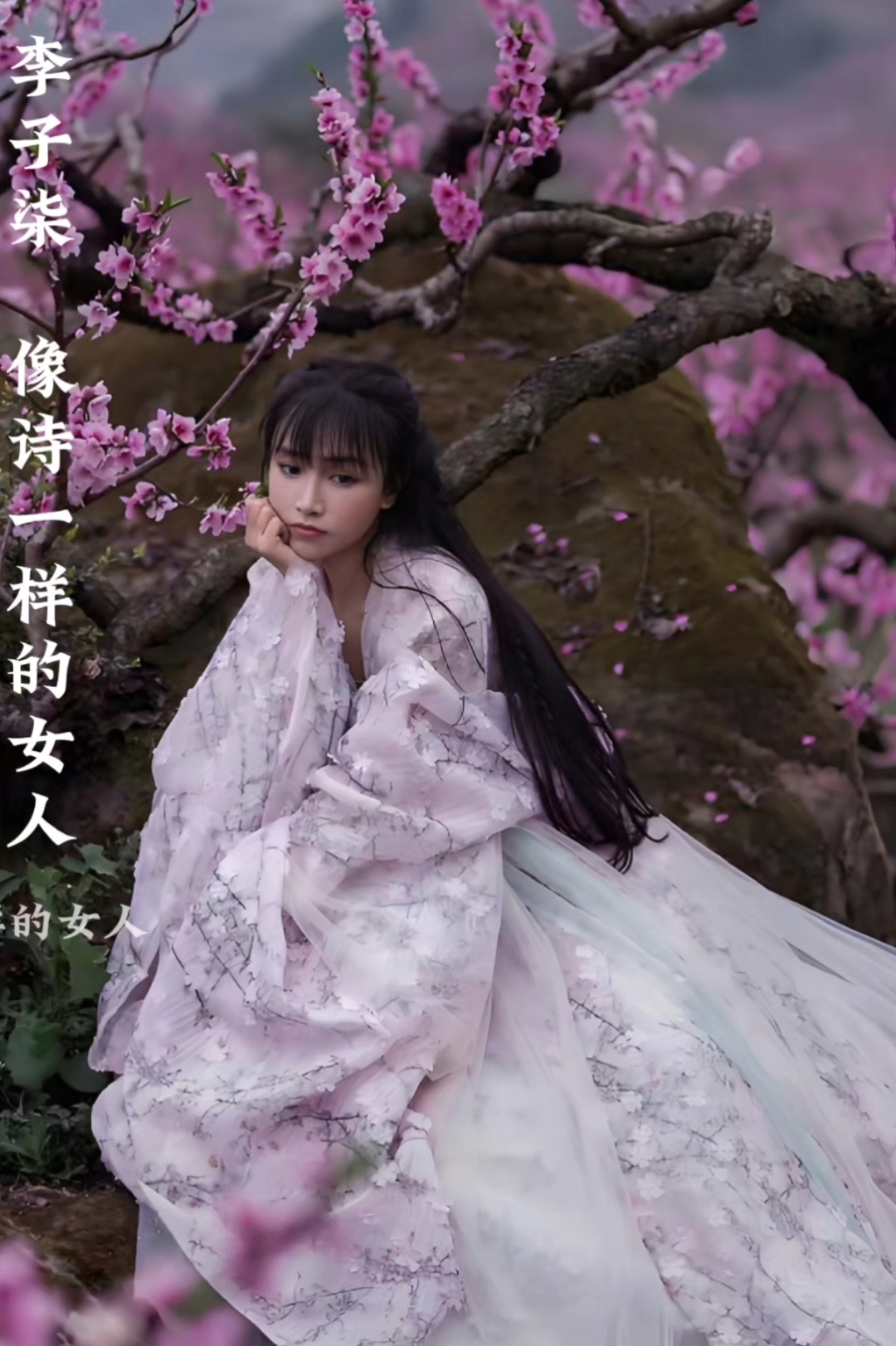 李子柒,高清写真