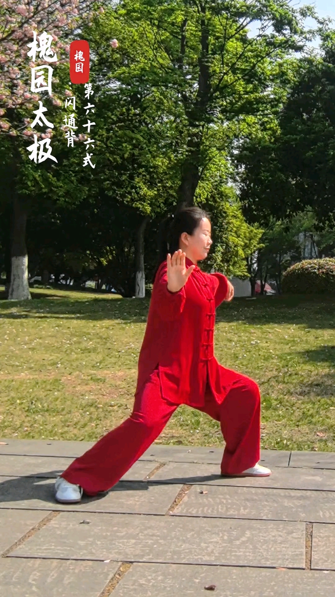 养生太极掌第一套视频背向(养生太极掌第一套背面带口令分解教学)