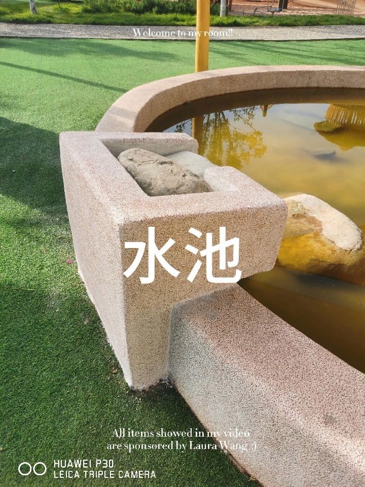 庭院水池