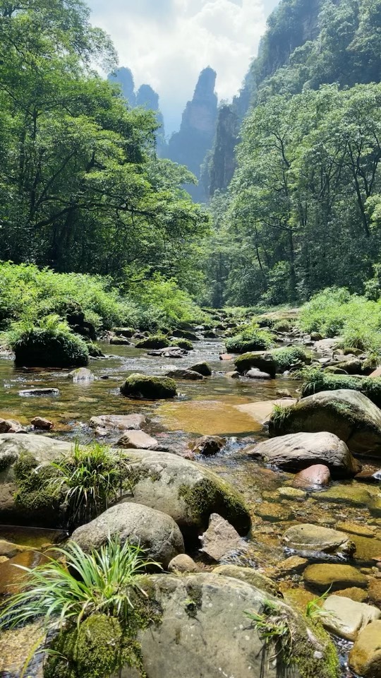 湖南森林公园景点介绍图片