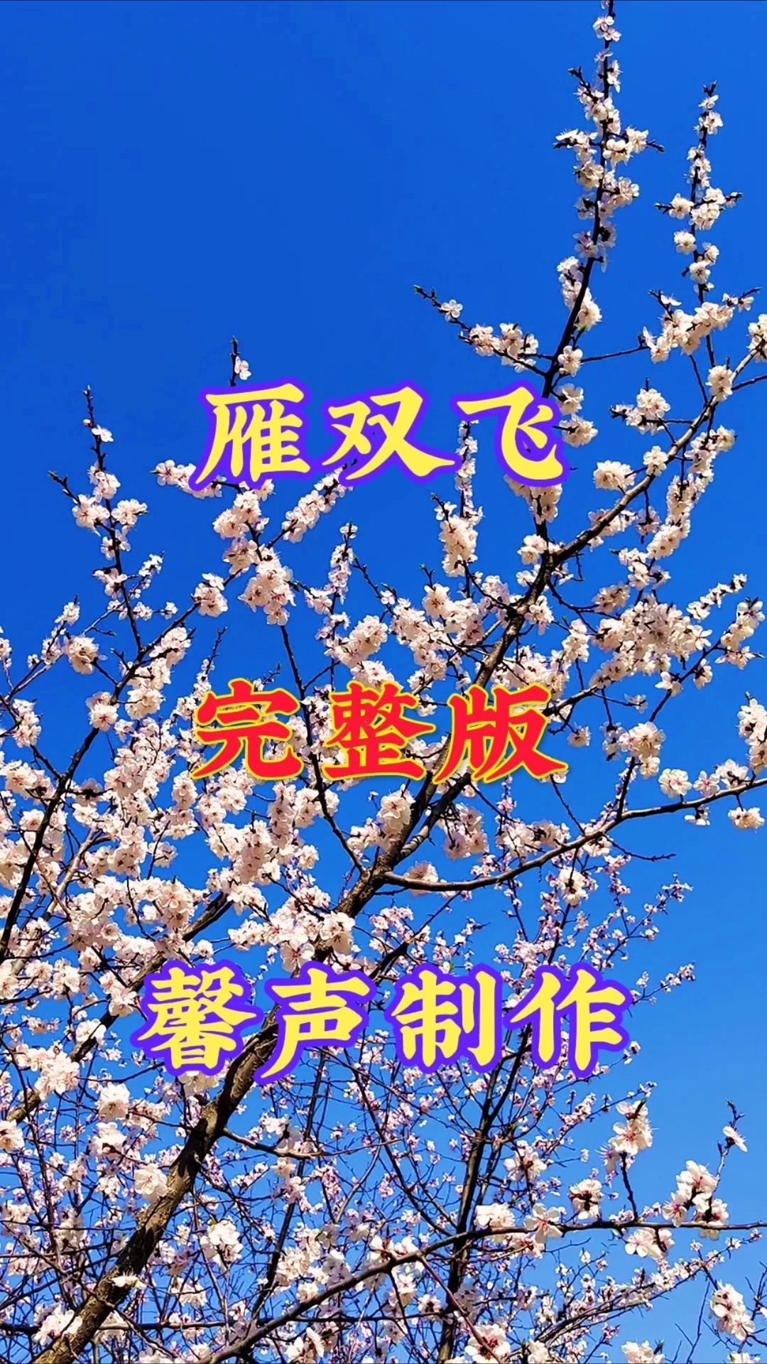 《雁双飞》旋律悠扬轻快,歌词诗意,满是国风韵味与真挚情