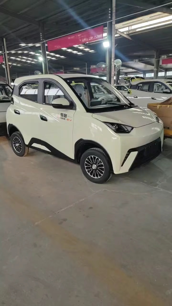 海鸥款电动四轮车家用代步车低速电动汽车