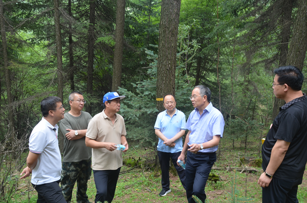 国家林草局调研组在山西省关帝山国有林管理局调研指导工作