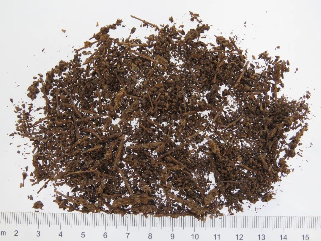 荆芥穗(附:荆芥穗炭)