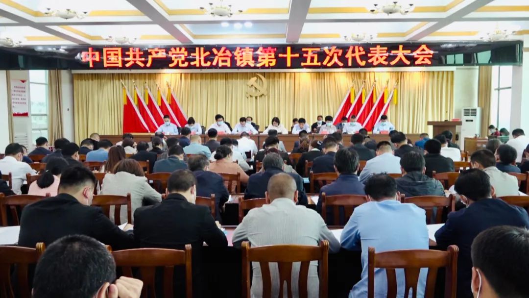 新安各镇召开党代会 选举产生新一届镇党委,纪委领导班子