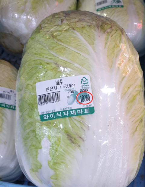 |韩国大白菜62元一颗！腌泡菜的主妇急了，韩媒：简直是吃钻石