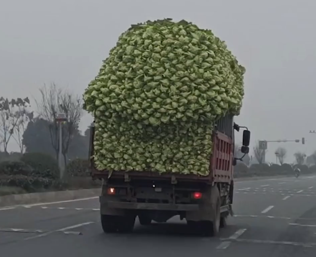 四川女子路上偶遇拉菜超高货车,正当她钦佩时,下一秒事情发生了