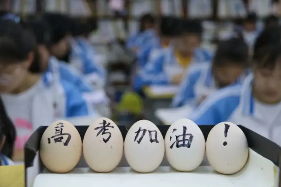 突发意外,杨婷婷重振信心努力备考