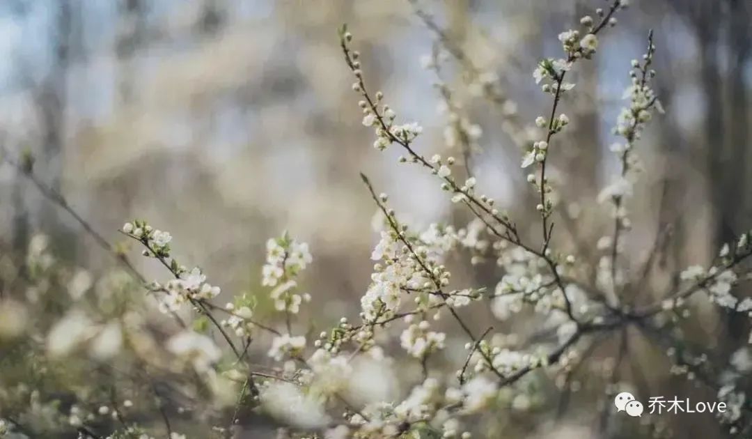 記得不要讓這三種朋友來你家裡串門,不管關係有多鐵