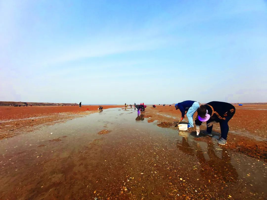 辽宁旅游好去处走哇这个周末去将军石温泉酒店赶海去