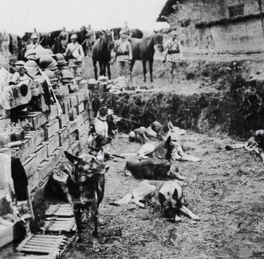 上高会战,痛歼日寇彪炳史册