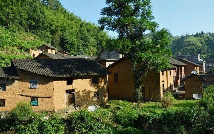 豫北农村民国时期奇案,媳妇家中横死,迷雾之下的真相是人性扭曲