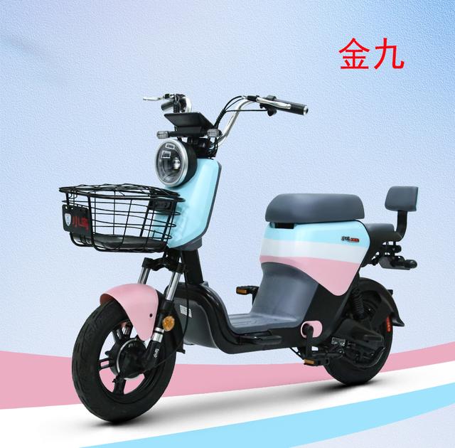 新國標電動自行車的車型品牌:小鳥電動車