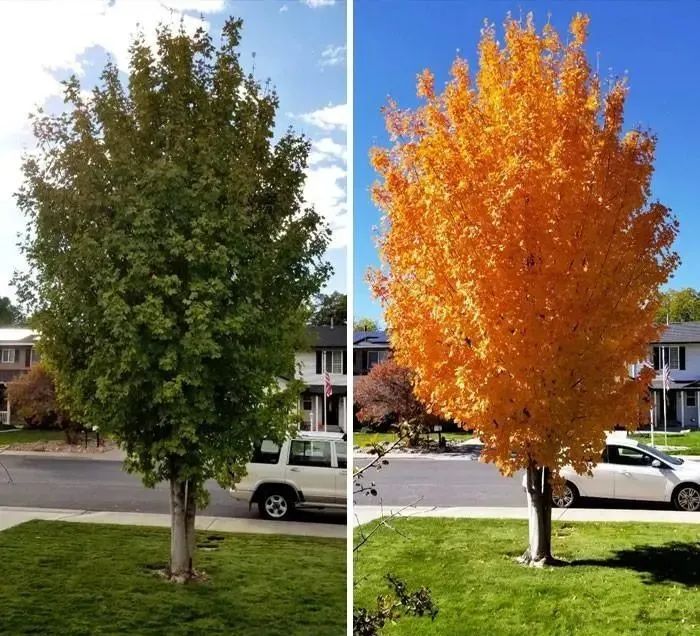 38张对比照片展示同一事物惊人的变化