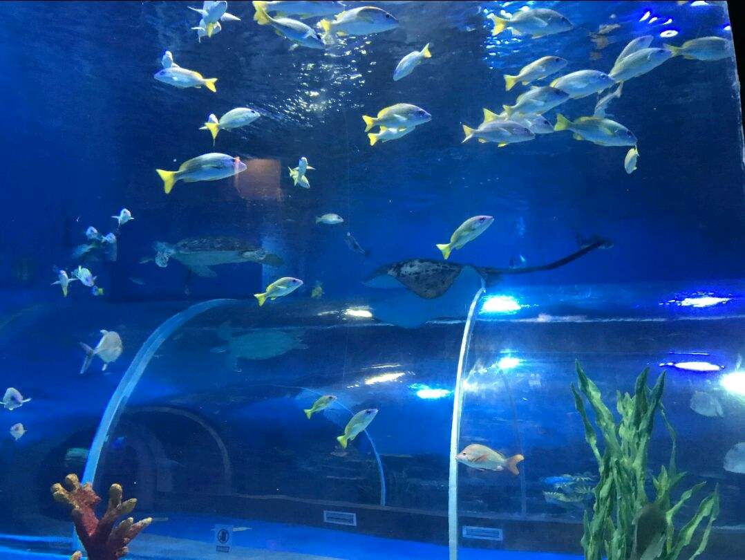 昆明呈贡区旅游景点有哪些?