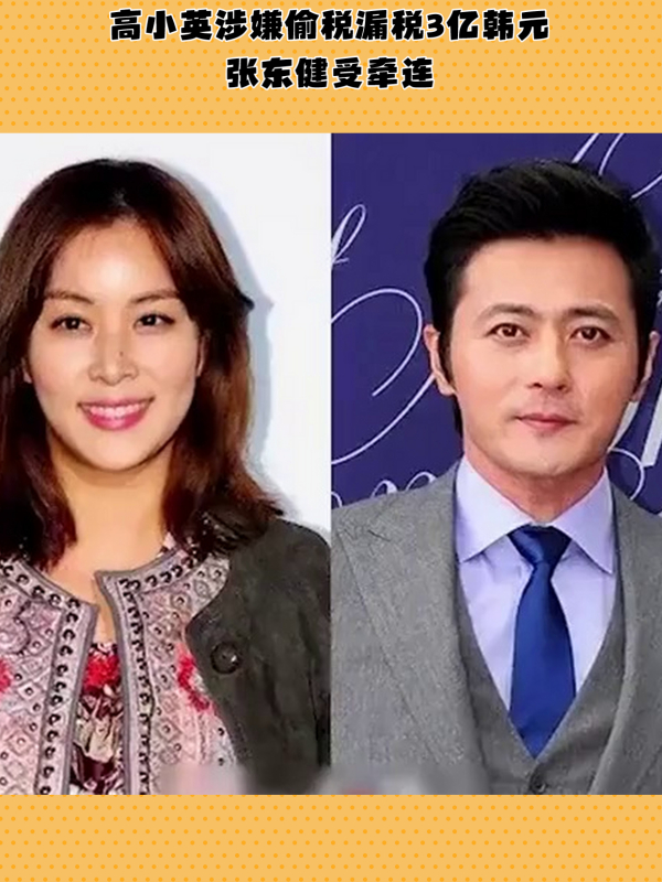 张东健妻子高小英涉嫌偷税漏税,韩国公众热议