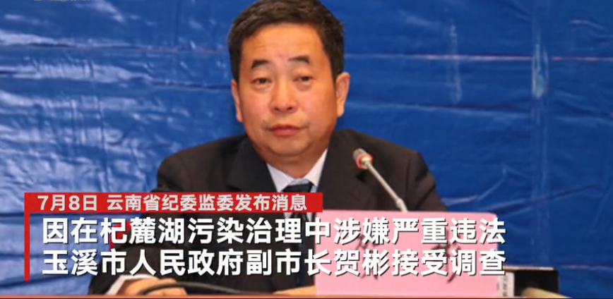 云南玉溪副市长贺彬被查:在杞麓湖污染治理中涉嫌严重违法