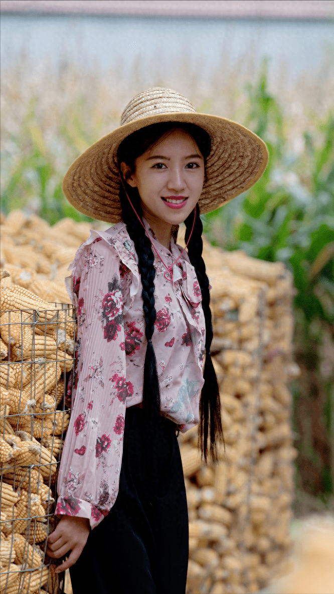 第二年高考,麦小登发挥出了自己的真实水平,考出来