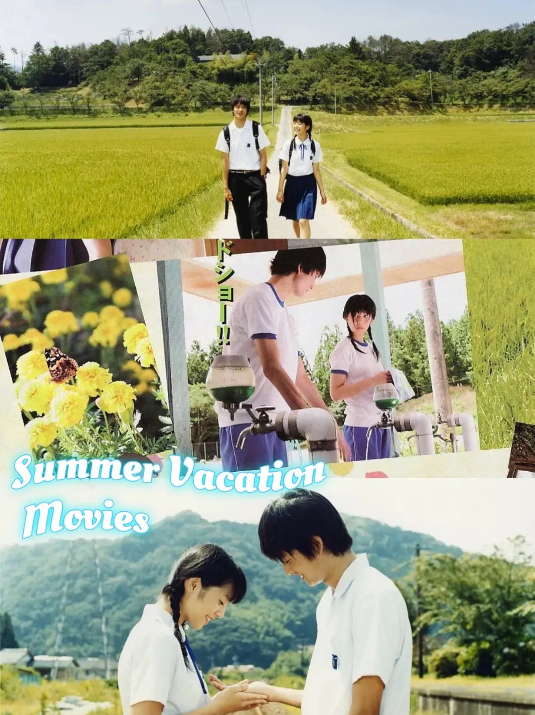 这6部电影,让你在初秋里还能抓住夏天的尾巴