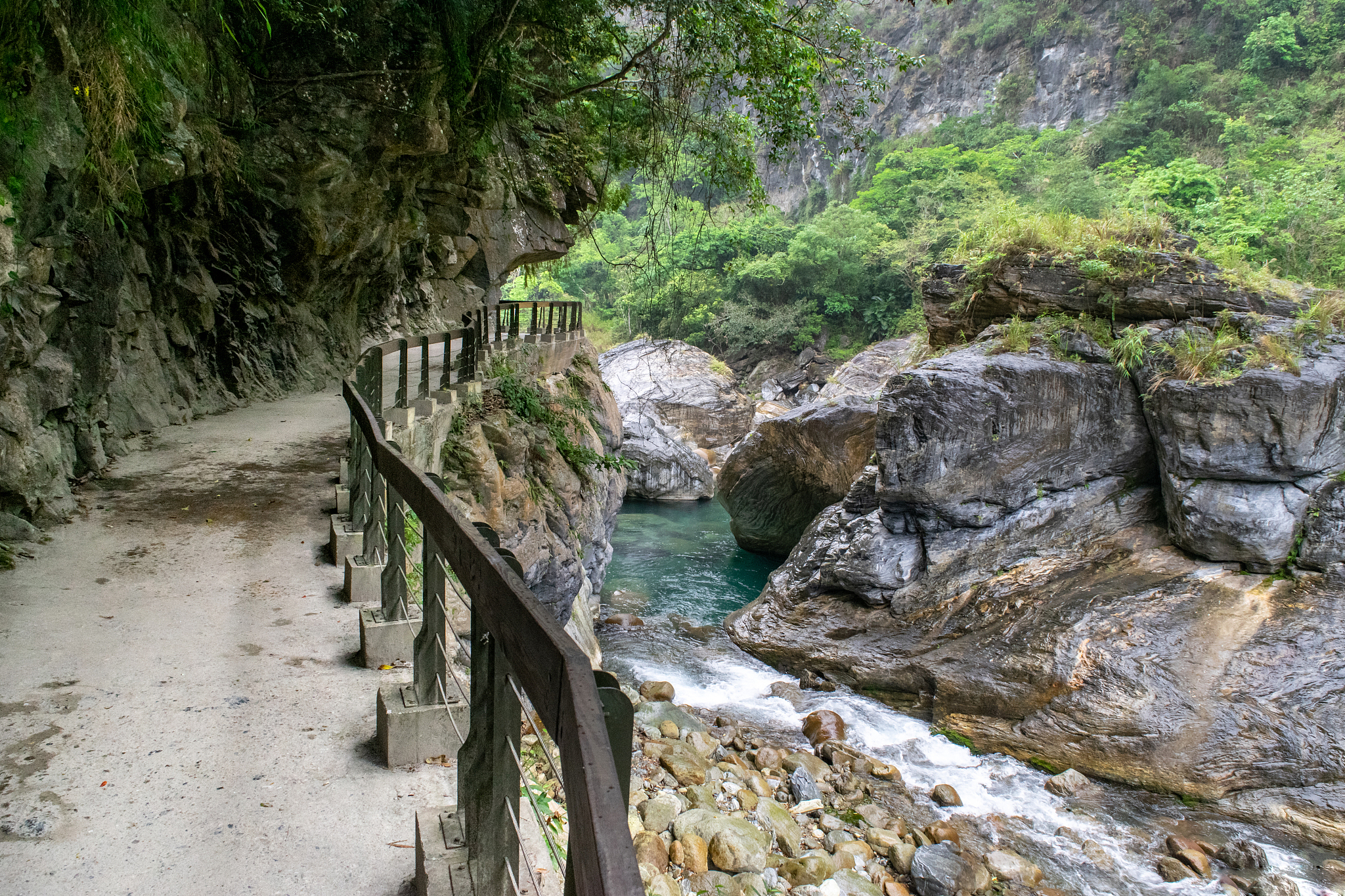 神秘的甘洛清溪峡古道,青苔藓蔓,古树参天,仿佛不属于这个世界