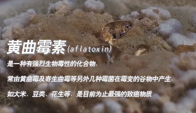 "木筷"与"不锈钢筷"哪个合适家用?了解后"一身冷汗"可别选错