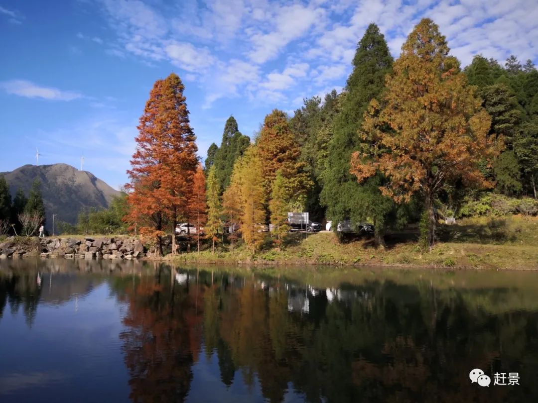 現在又有信宜錢排雙合村前段時間鹿湖頂火到要封路限行那一定是信宜了