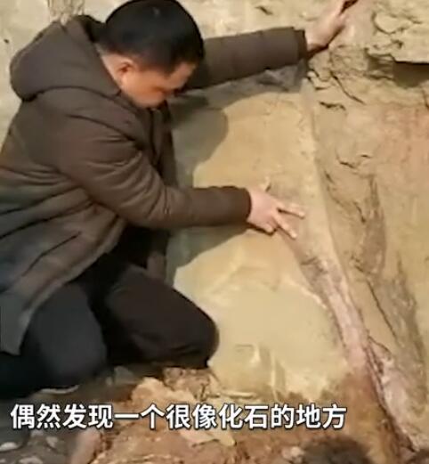 四川一男子散步发现1米长古怪石头 仔细一查让人大开眼界