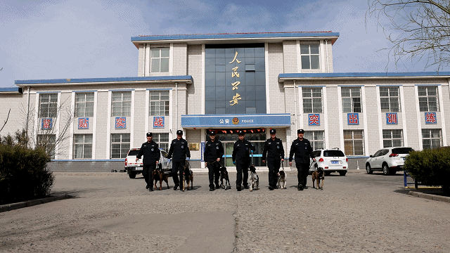 警犬基地连续5年获得公安部南昌片区警犬使用先进单位,警犬训导员岳