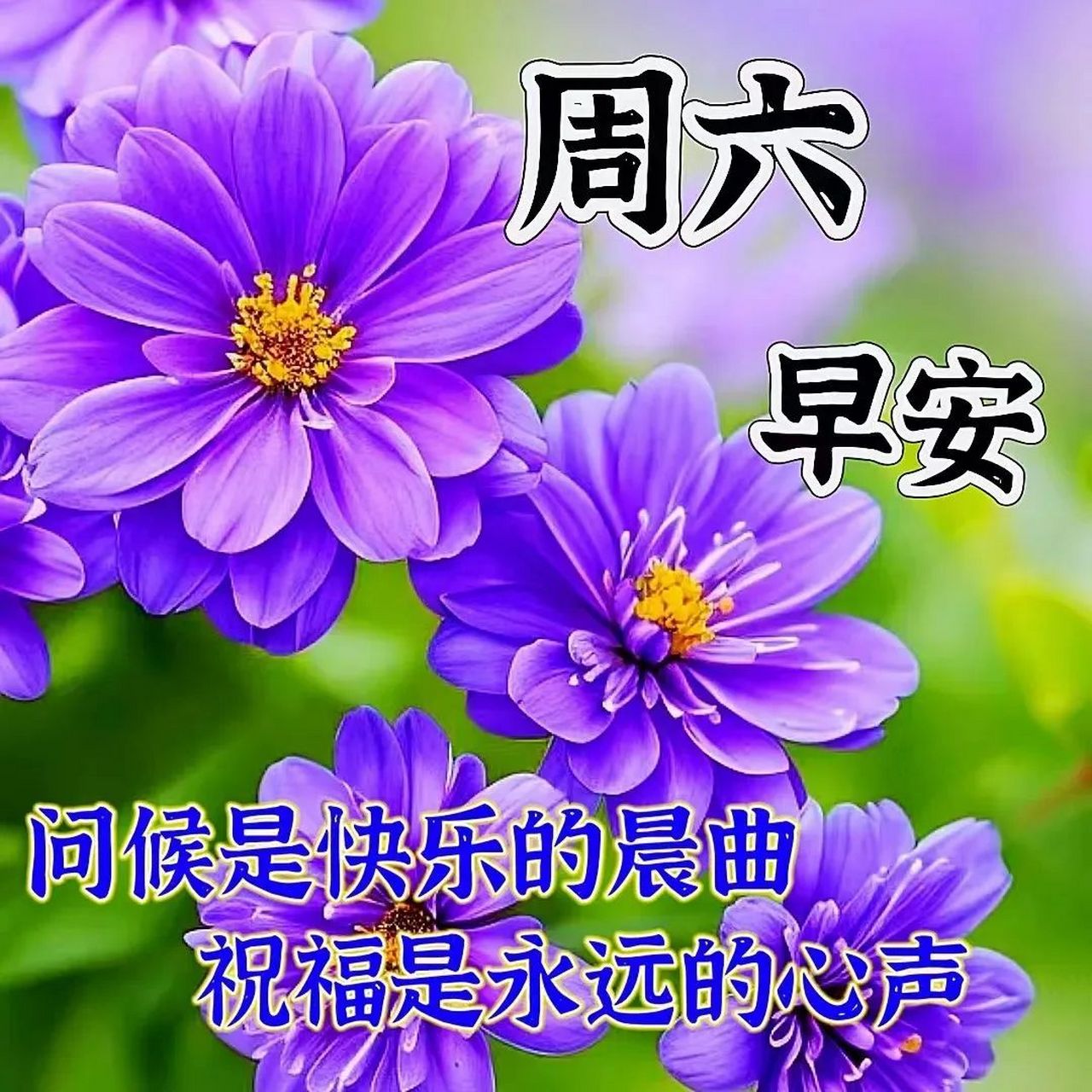 周六早上好,精选早安暖心祝福图片带字带祝福语,温馨早安问候语群发