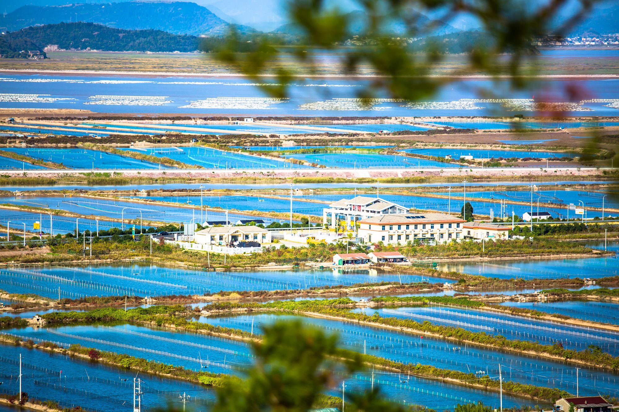 三门县蛇蟠岛风景区图片