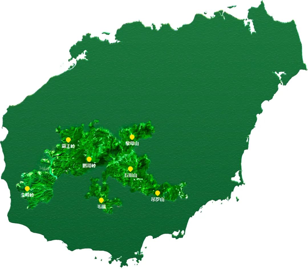 中国热带雨林分布地区图片