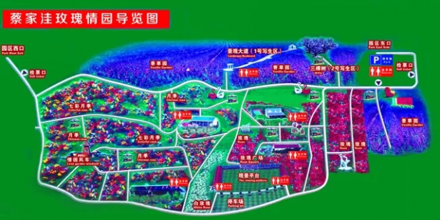 玫瑰情园景区山谷花海派对来袭!北京十一假期必选旅游目的地!