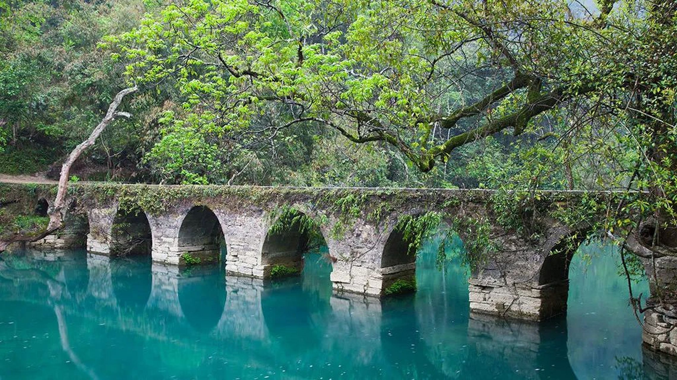 荔波樟江风景名胜区以喀斯特原始森林和水景为基础,以千姿百态的地貌
