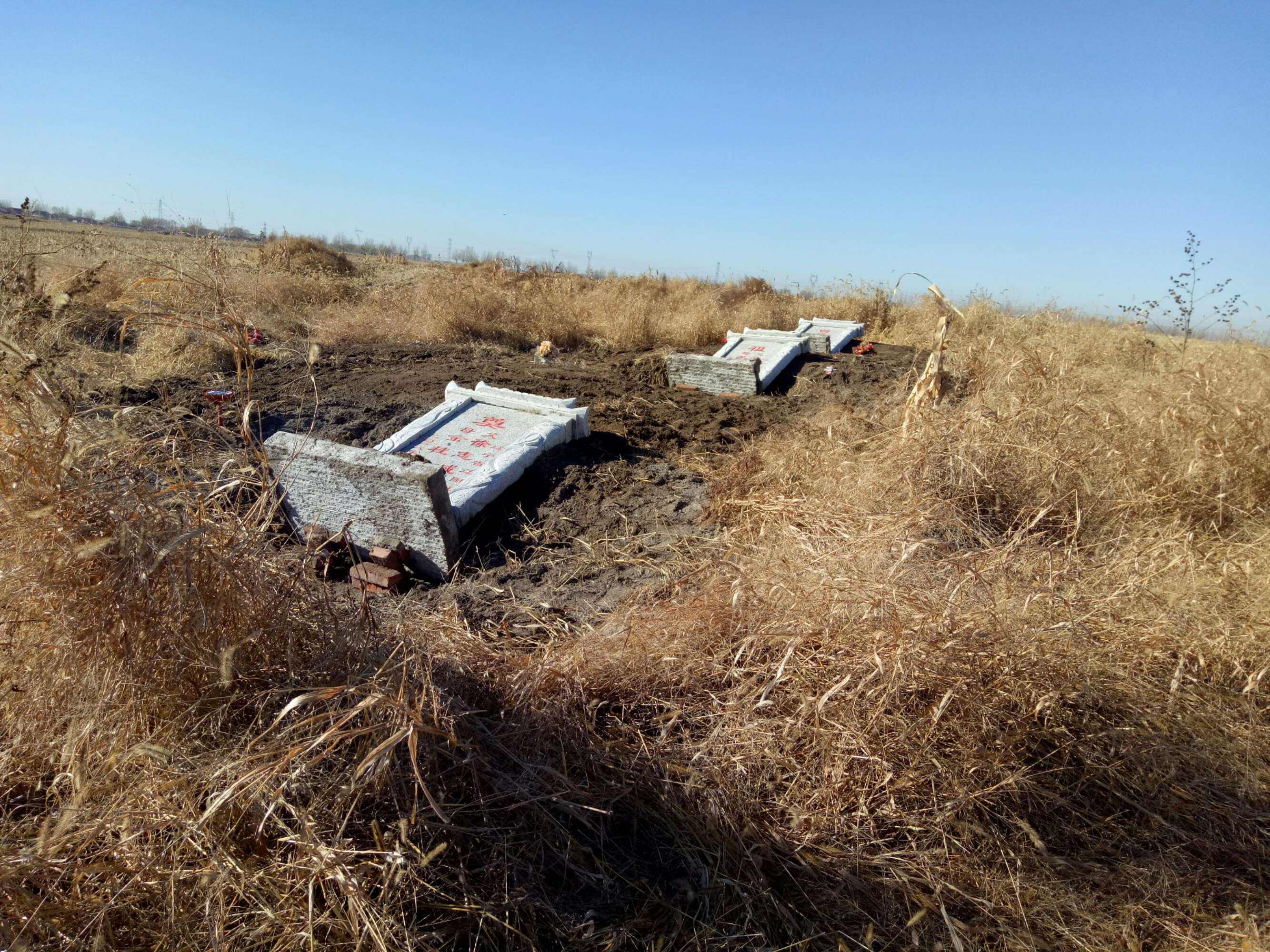 4月农村坟头全面清理?小田变大田:禁止耕地建坟,坟地一律迁走