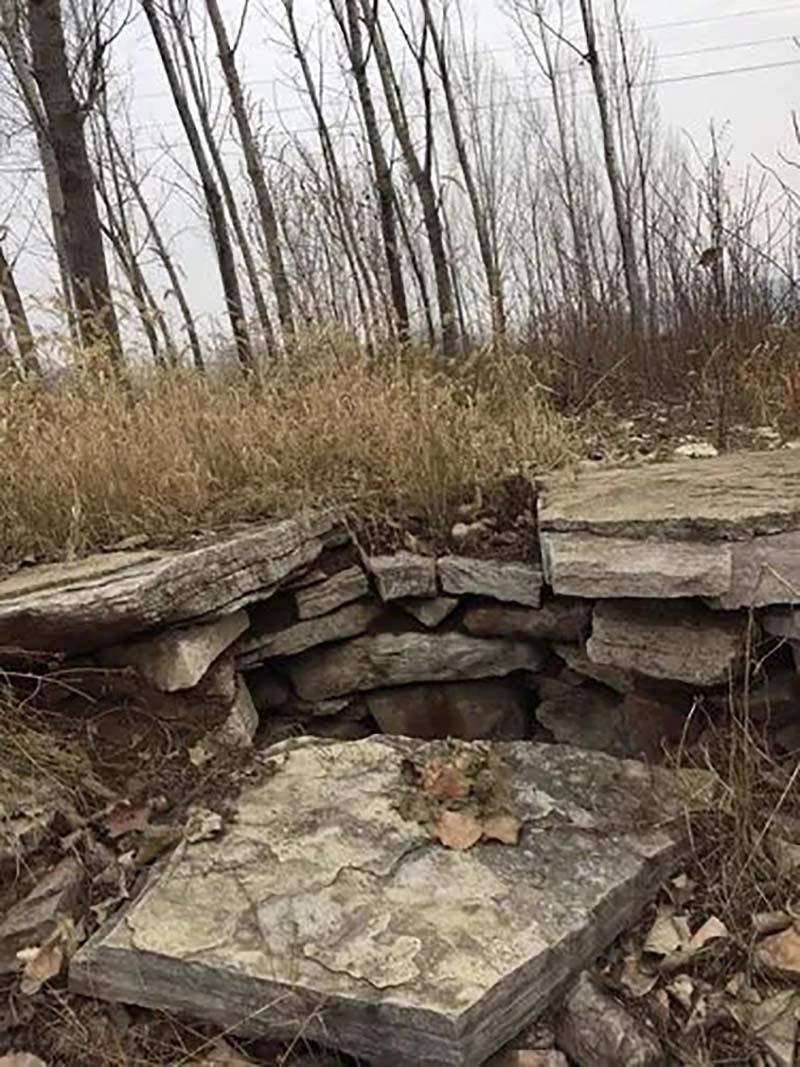 刘凯利是辽宁省黑山县八道壕镇人,高中毕业后就去水泥厂打工,结婚后买