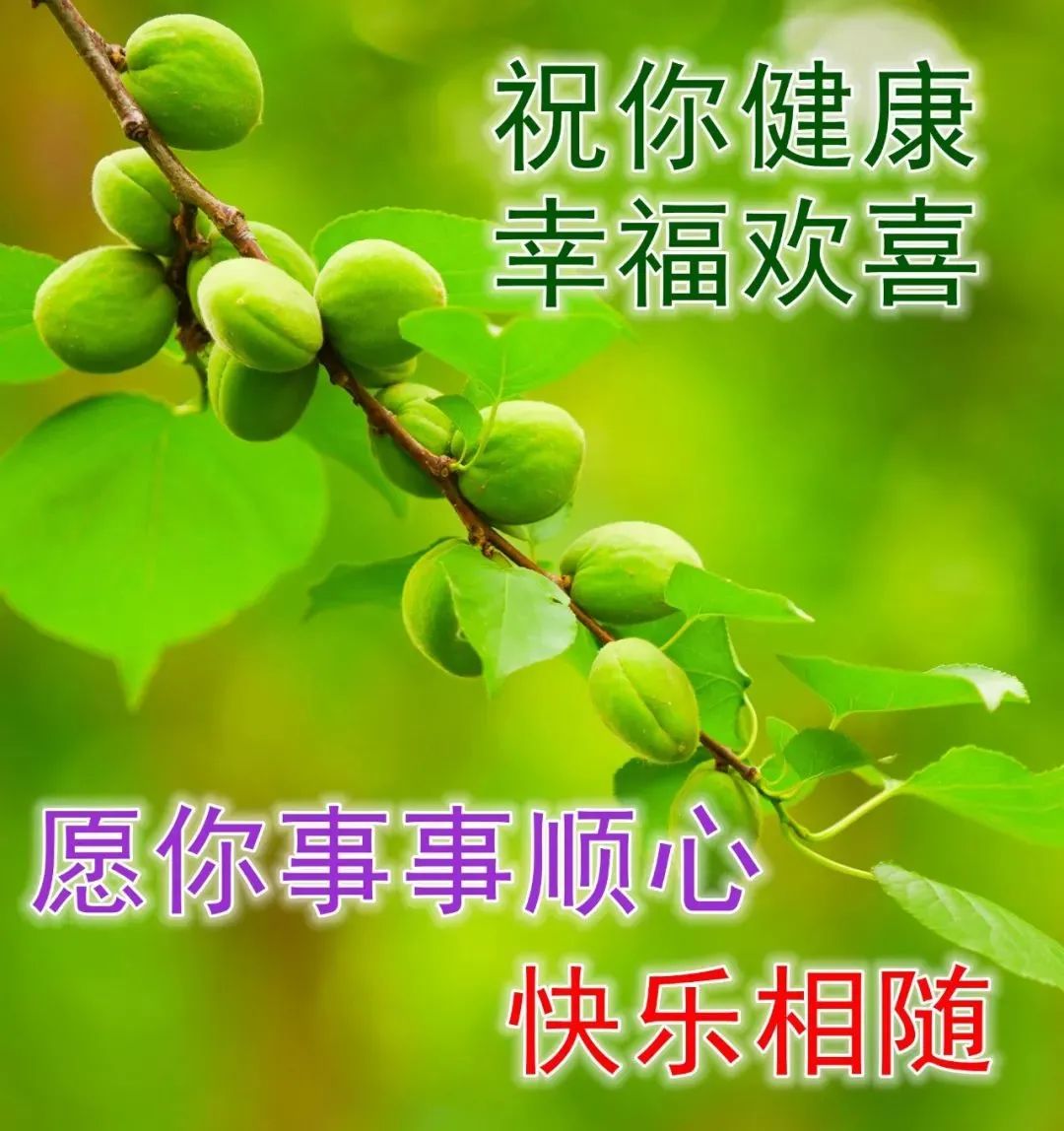 早安祝福语 问候大家早上好图片祝福 早安图片大全