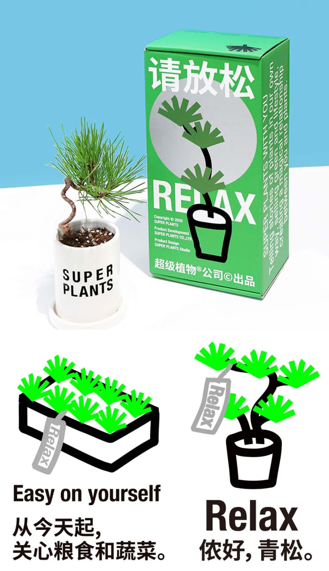 超级植物公司 | 谐音梗以及超大文案的表达成为了品牌的核心视觉识别