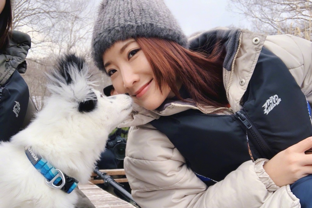 回顾陈赫前妻许婧相爱10年换来一句各自安好她真的能释怀吗