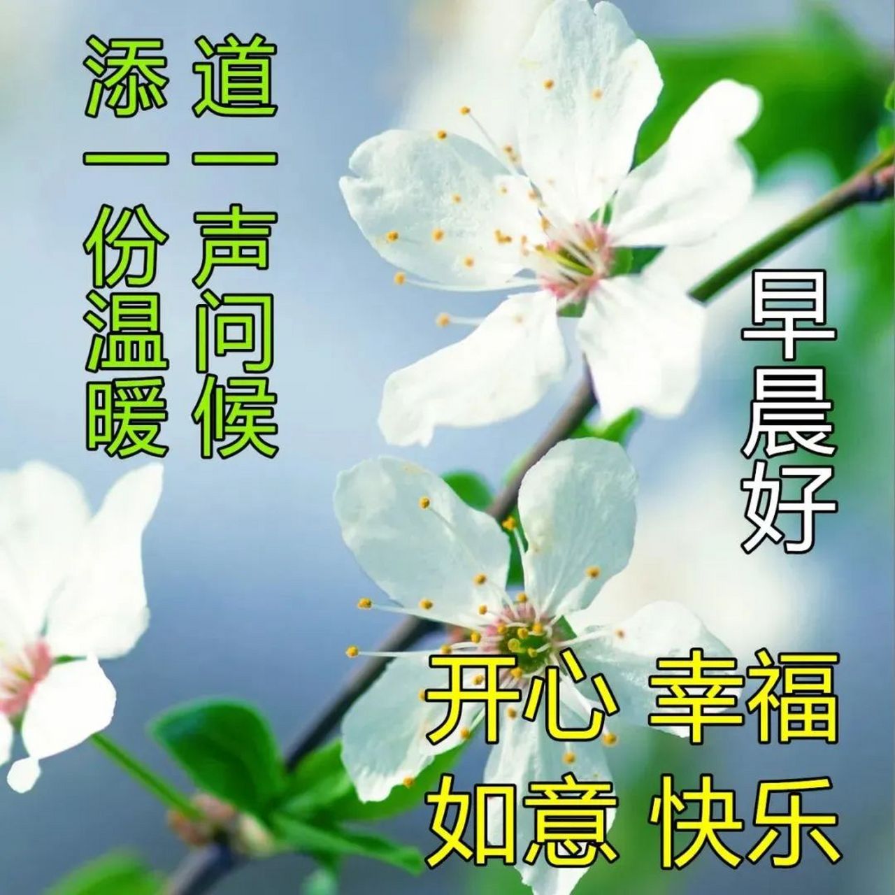 周四清晨暖心早安问候语句 早上发微信最美早上好祝福图片 1. 早上好!