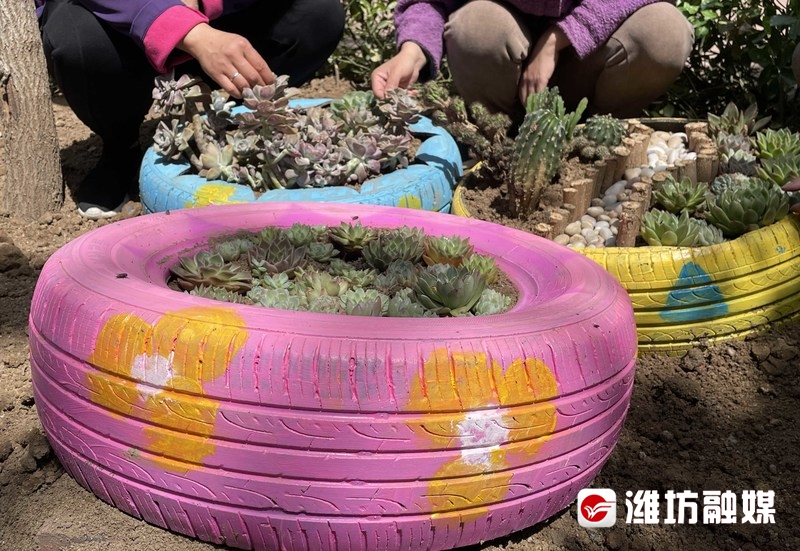 創意十足!廢舊輪胎巧變彩色花盆