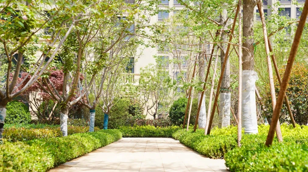 济南绿城兰园售楼处电话4007631618转64449售楼中心地址官方权威发布