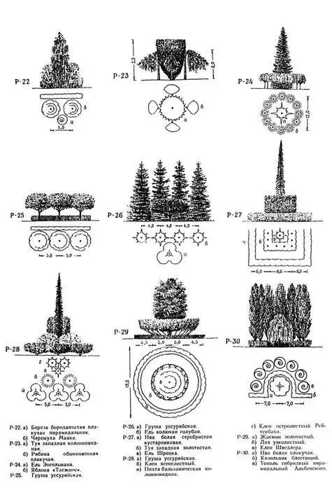 植物图片大全（各种植物图片及名称） 第15张