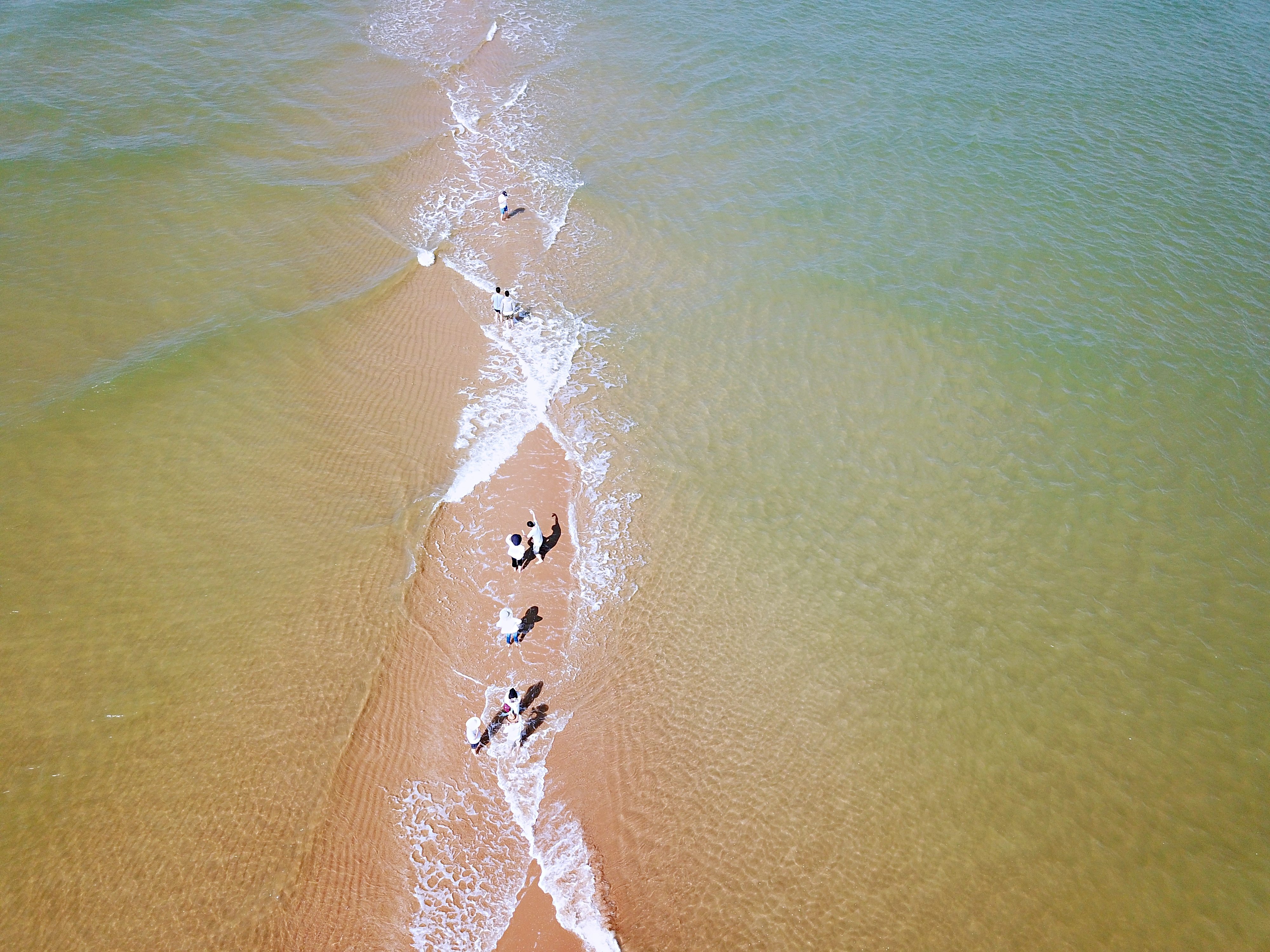 "鱼骨沙洲"引客来(1)